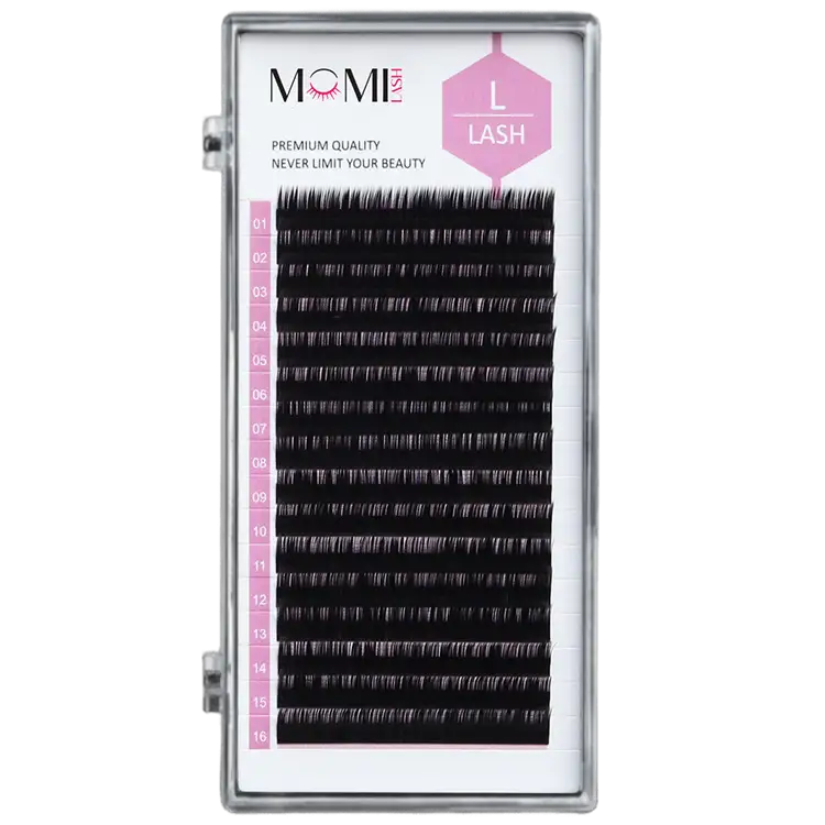 L Lash, L Eyelashes Extensions
