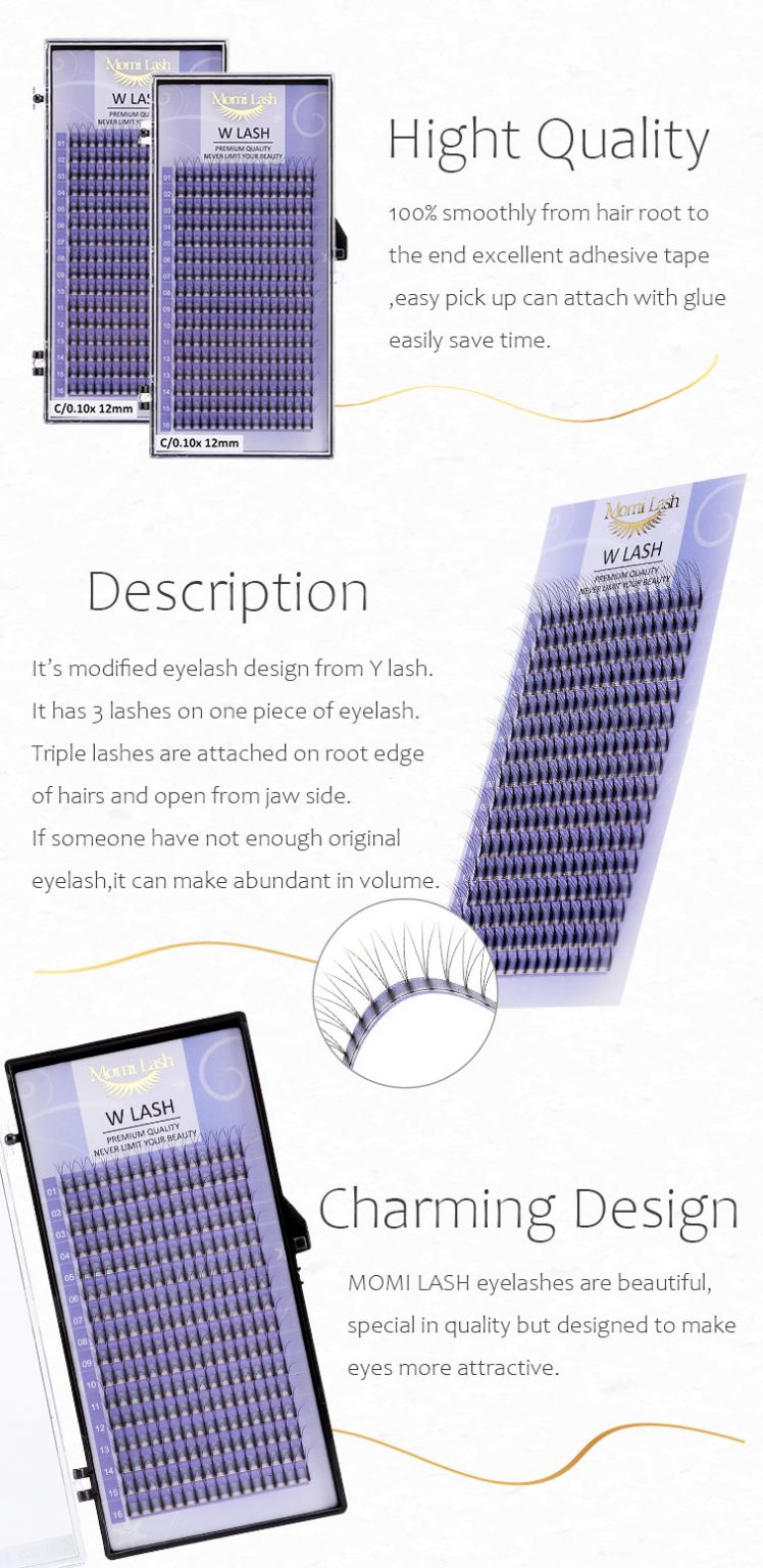 W Lash Eyelash Extensions