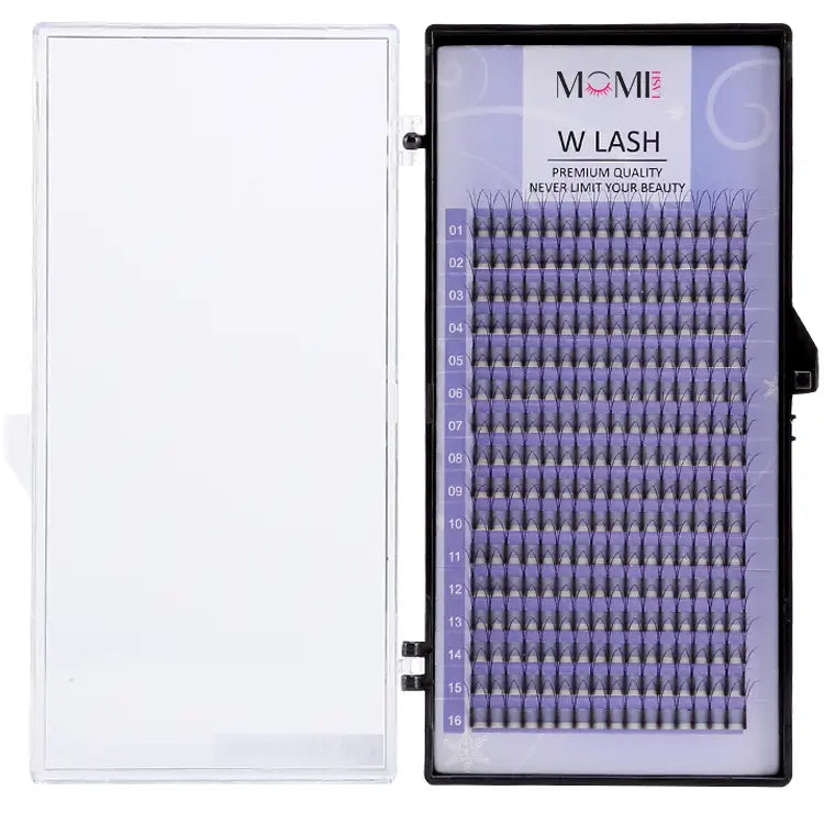 W Lash Eyelash Extensions