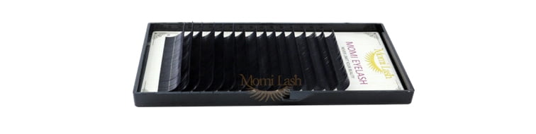 Black Lash Eyelash Extensions