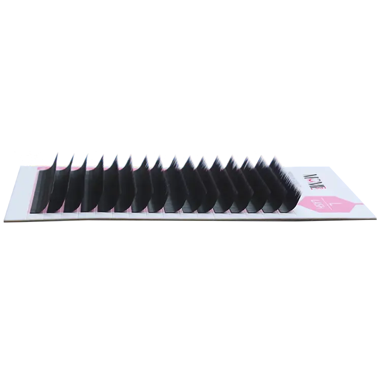 L Lash, L Eyelashes Extensions