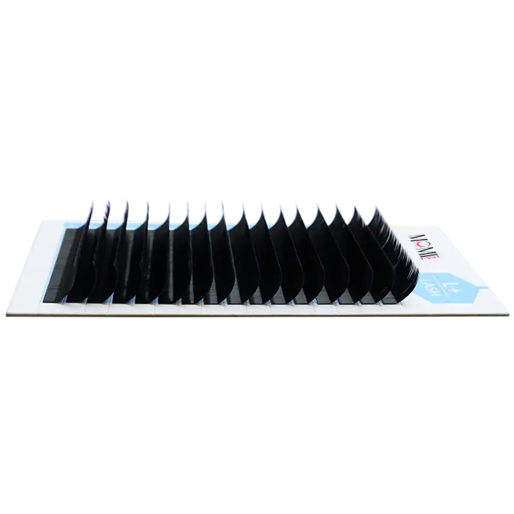 L+ Lash Glamorous Lashes Extensions