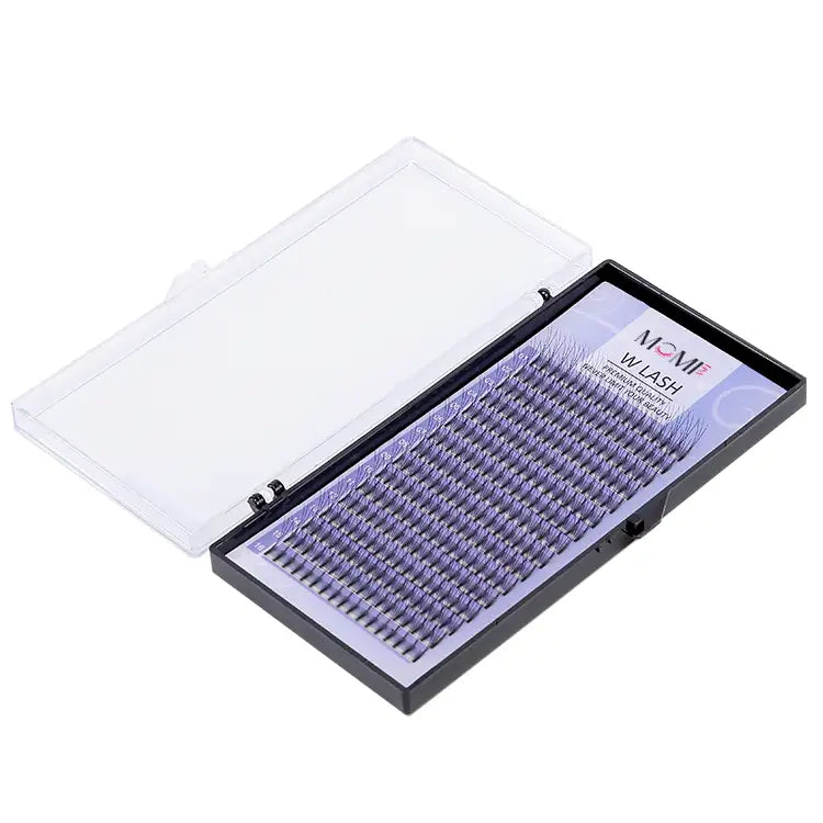 W Lash Eyelash Extensions