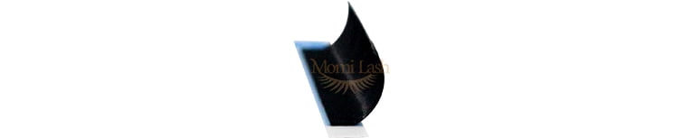 L+ Lash Glamorous Lashes Extensions
