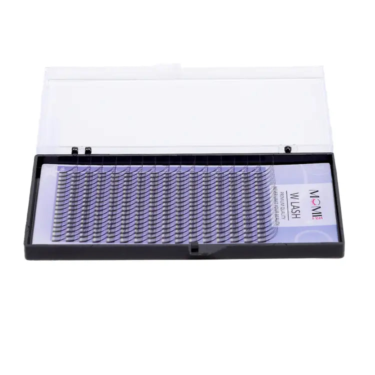 W Lash Eyelash Extensions