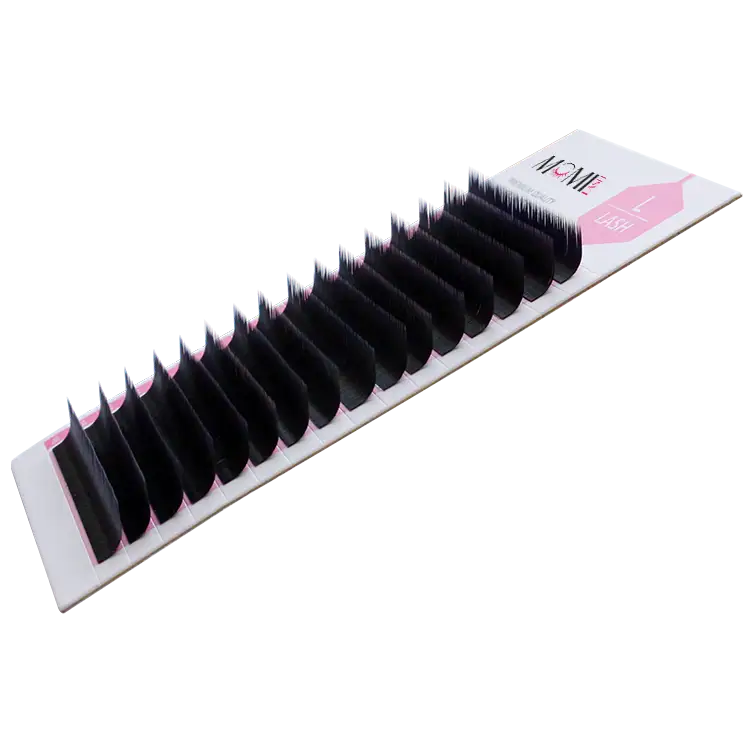 L Lash, L Eyelashes Extensions