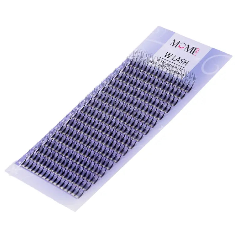 W Lash Eyelash Extensions