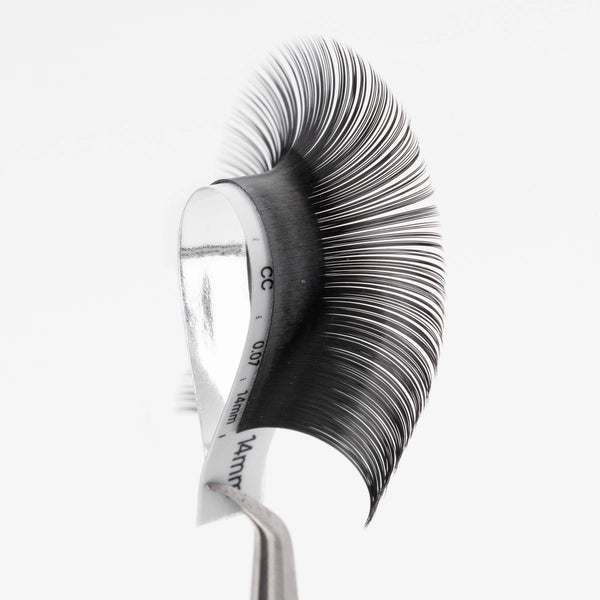 CC-Curl Premium MATTE Lash Extension 0.07mm Thickness