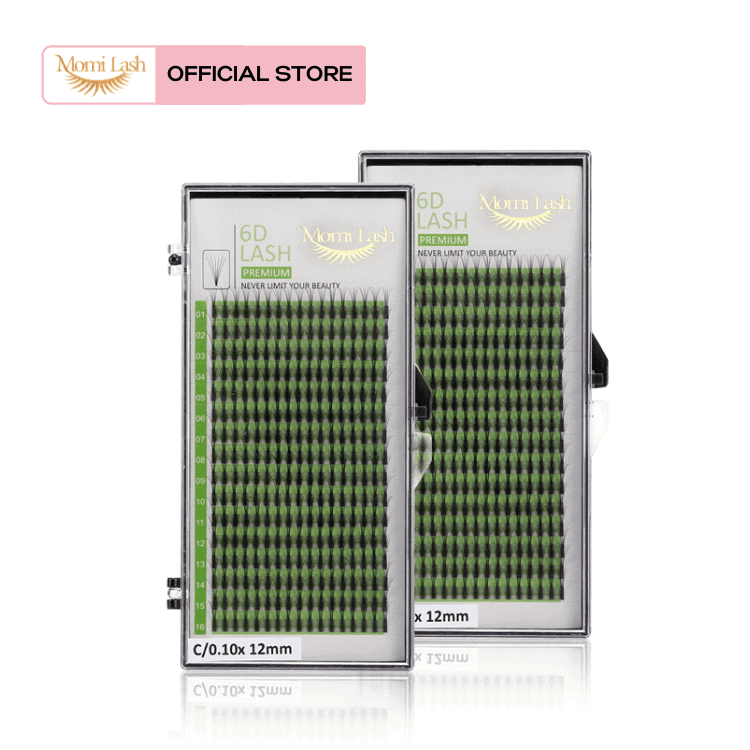 6D Lash Premade Fan EyeLash