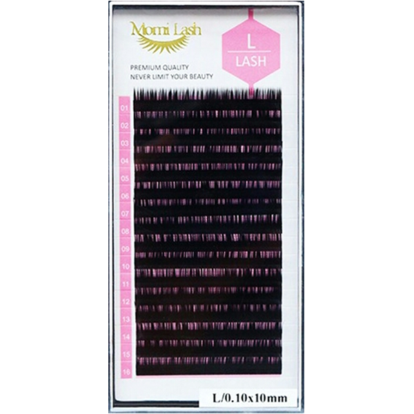 L Lash, L Eyelashes Extensions