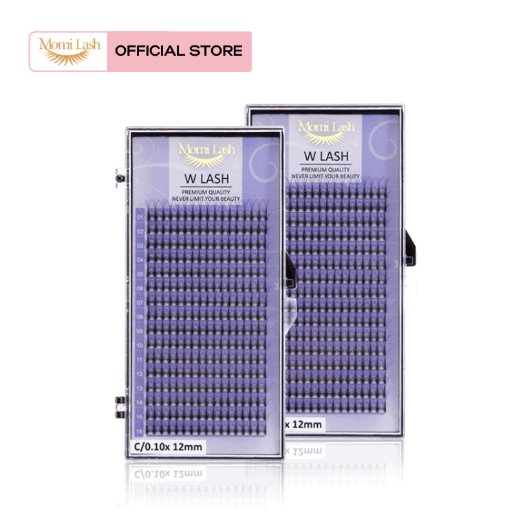 W Lash Eyelash Extensions