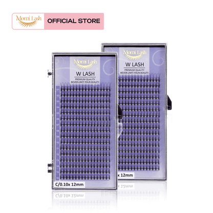 W Lash Eyelash Extensions