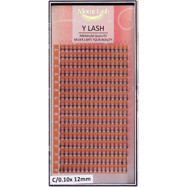 Y Lash Eyelash Extensions