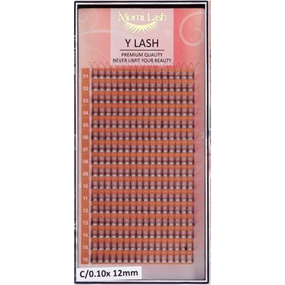 Y Lash Eyelash Extensions