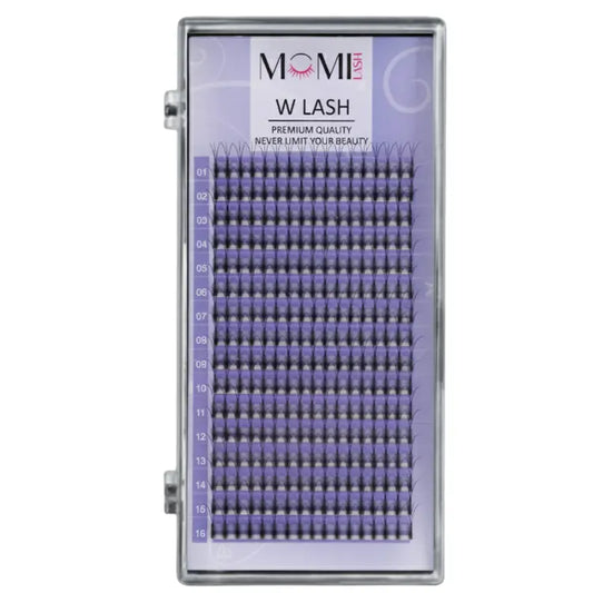 W Lash Eyelash Extensions