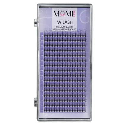 W Lash Eyelash Extensions