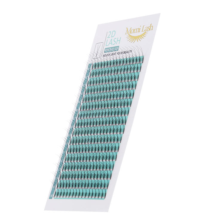 2D Lash, Premade Fan EyeLashes