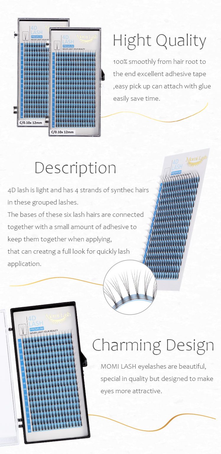 4D Lash Premade Fan EyeLash
