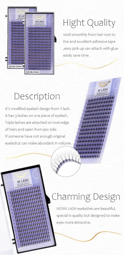 W Lash Eyelash Extensions