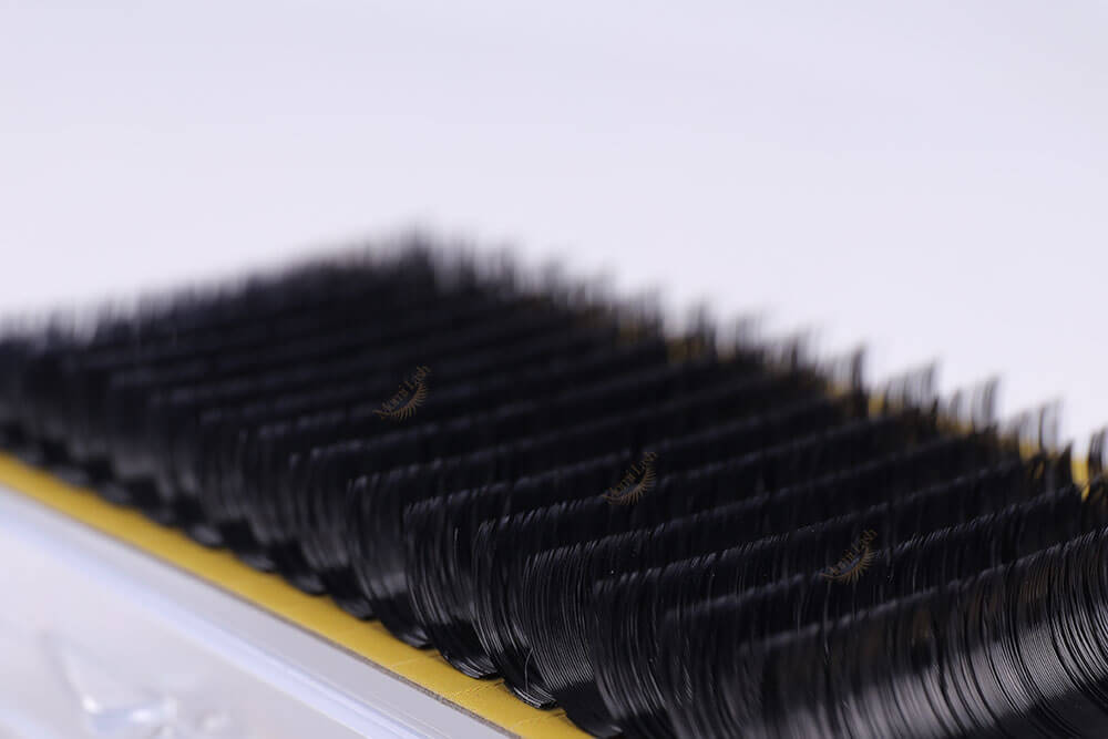 Flat Lash Eyelash Extensions