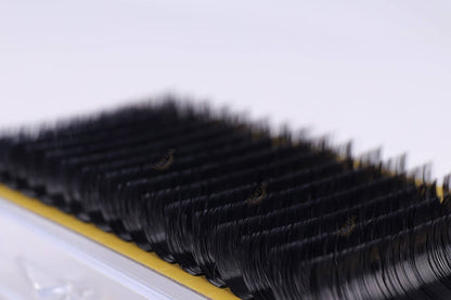 Flat Lash Eyelash Extensions