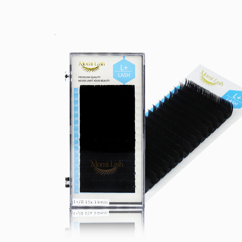 L+ Lash Glamorous Lashes Extensions