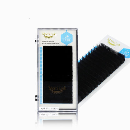 L+ Lash Glamorous Lashes Extensions