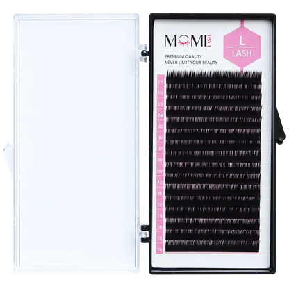 L Lash, L Eyelashes Extensions