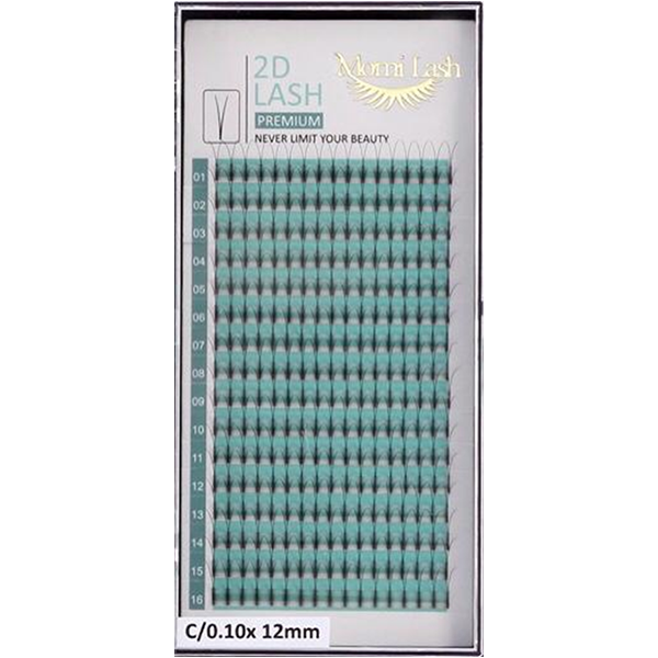 2D Lash, Premade Fan EyeLashes