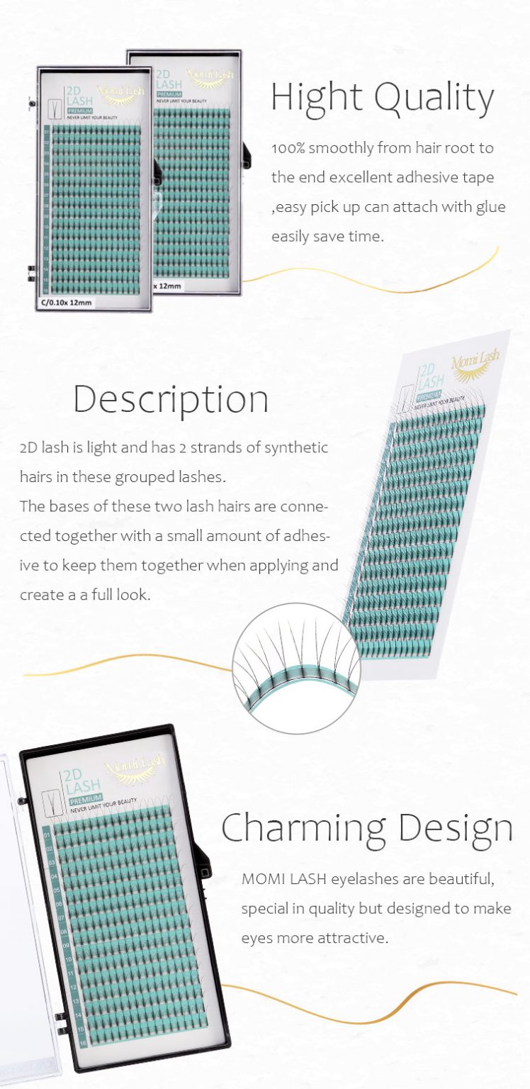 2D Lash, Premade Fan EyeLashes