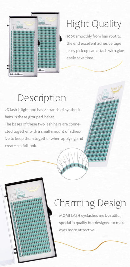 2D Lash, Premade Fan EyeLashes