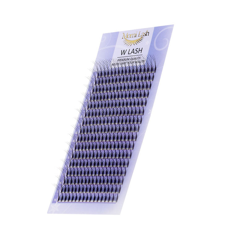 W Lash Eyelash Extensions