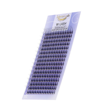 W Lash Eyelash Extensions
