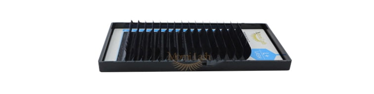 L+ Lash Glamorous Lashes Extensions