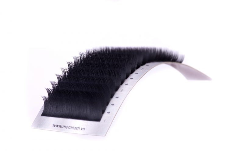 Silk Lash Eyelash Extensions