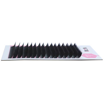L Lash, L Eyelashes Extensions