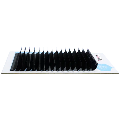L+ Lash Glamorous Lashes Extensions