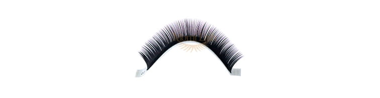 Black Lash Eyelash Extensions
