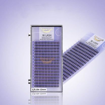 W Lash Eyelash Extensions