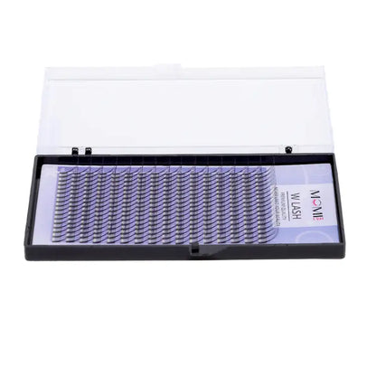 W Lash Eyelash Extensions