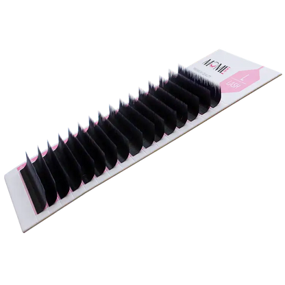 L Lash, L Eyelashes Extensions