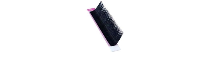 L Lash, L Eyelashes Extensions