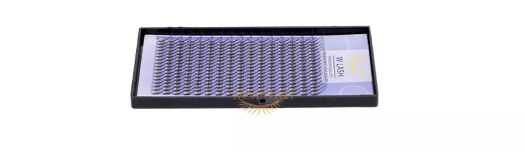 W Lash Eyelash Extensions