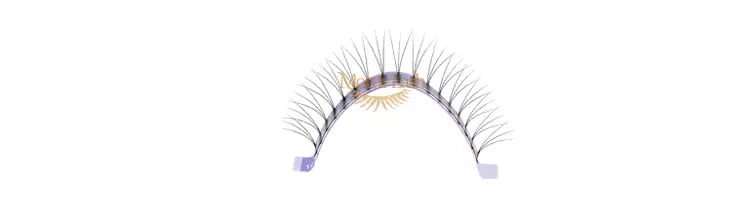 W Lash Eyelash Extensions