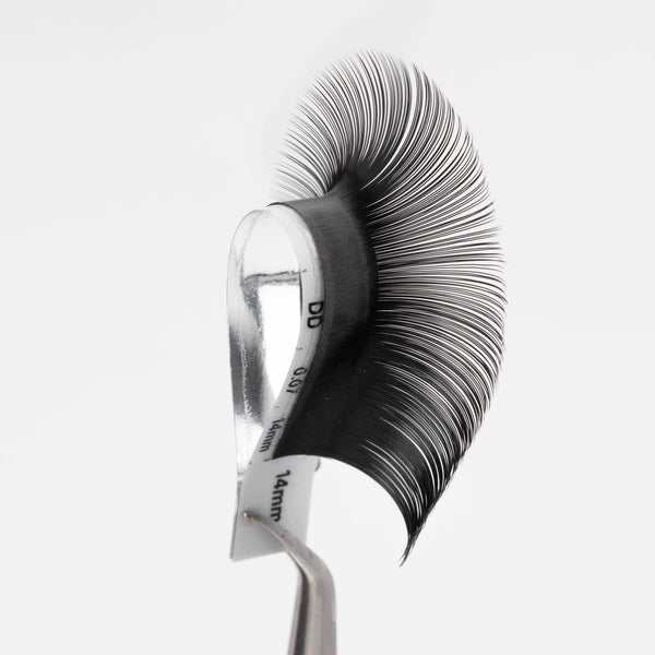 DD-Curl Premium Silk Lash Extension 0.07mm Thickness