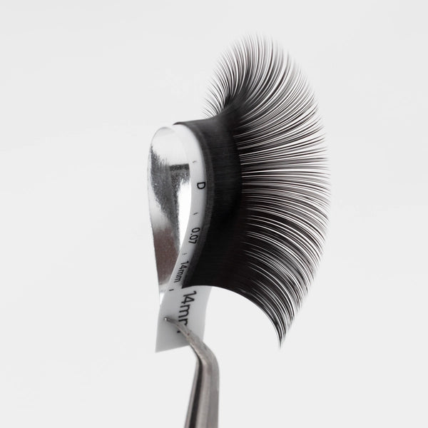 D-Curl Premium Silk Lash Extension 0.07mm Thickness