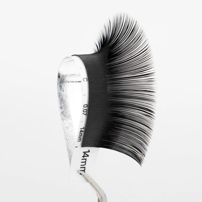 Cashmere Lash Extension 0.07mm Thickness (6 Lines)