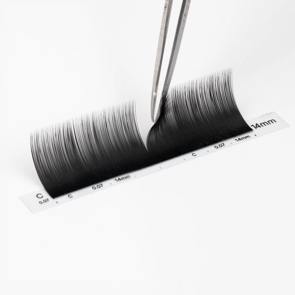 Premium Mink Lash Extension 0.07mm Thickness (6 Lines)