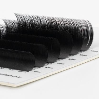 Velvet Black Lash Extension 0.10mm Thickness (6 Lines)