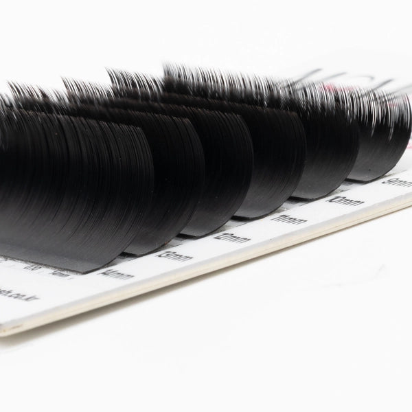 Velvet Black Lash Extension